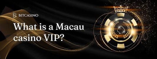 What is a Macau casino VIP? Explanation of how to become one, the benefits, and recommended casinos
